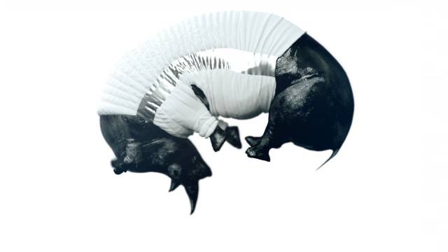 Nike Air Mockup: The Rhino