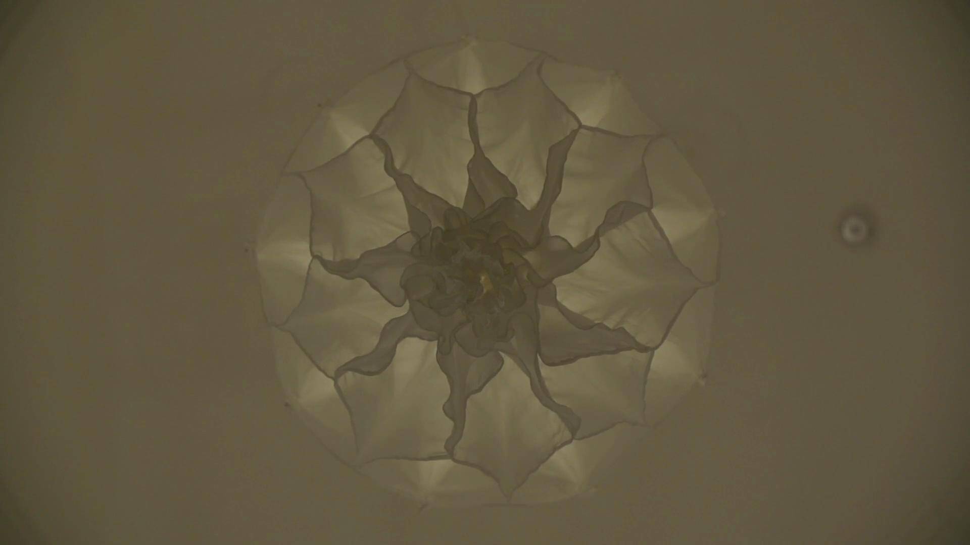 Shylight at Rijksmuseum - Long Edit 