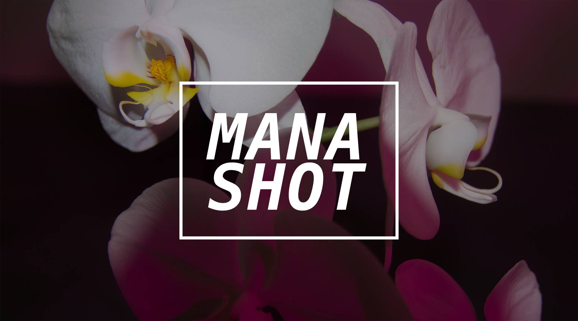 MANA SHOT | 闭合回路，开放过程——CAC新时线媒体艺术中心