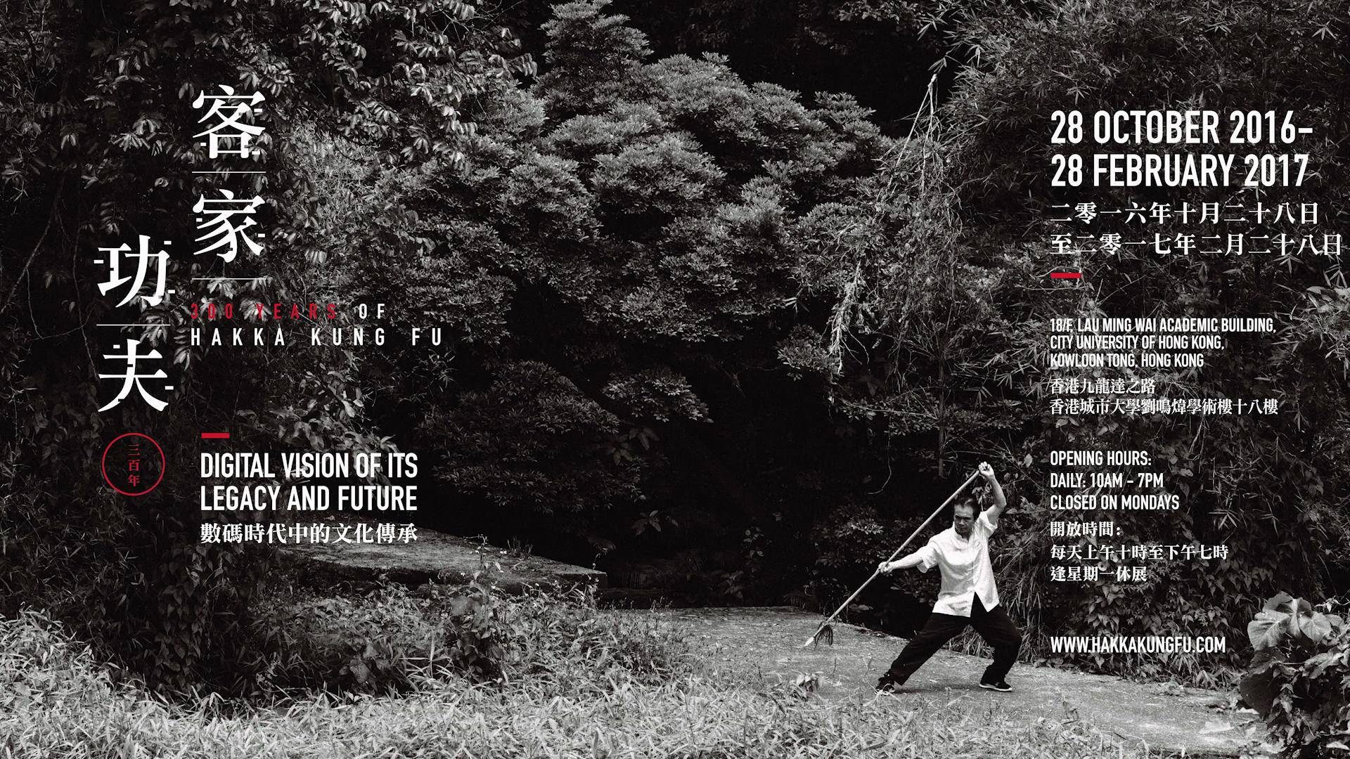 300年的客家功夫 300 Years of Hakka Kung Fu (2016)