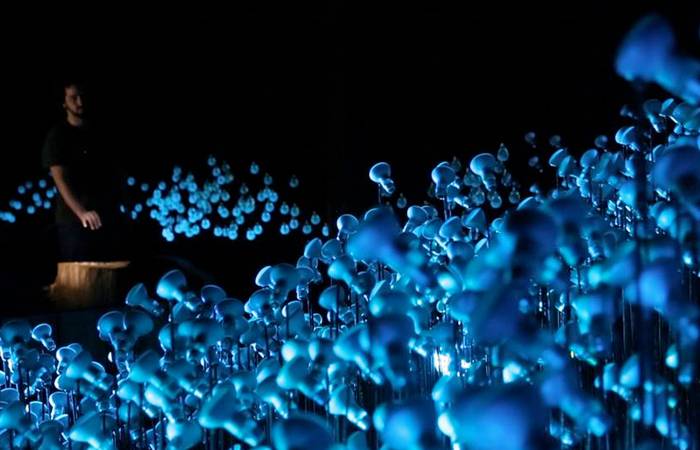 LIGHT BEARERS 