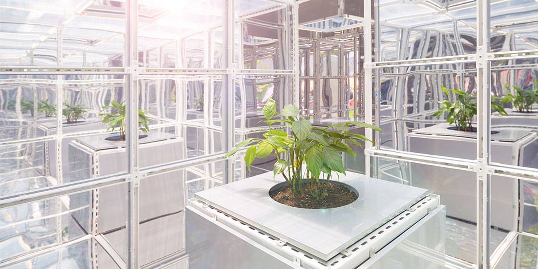 声命万物