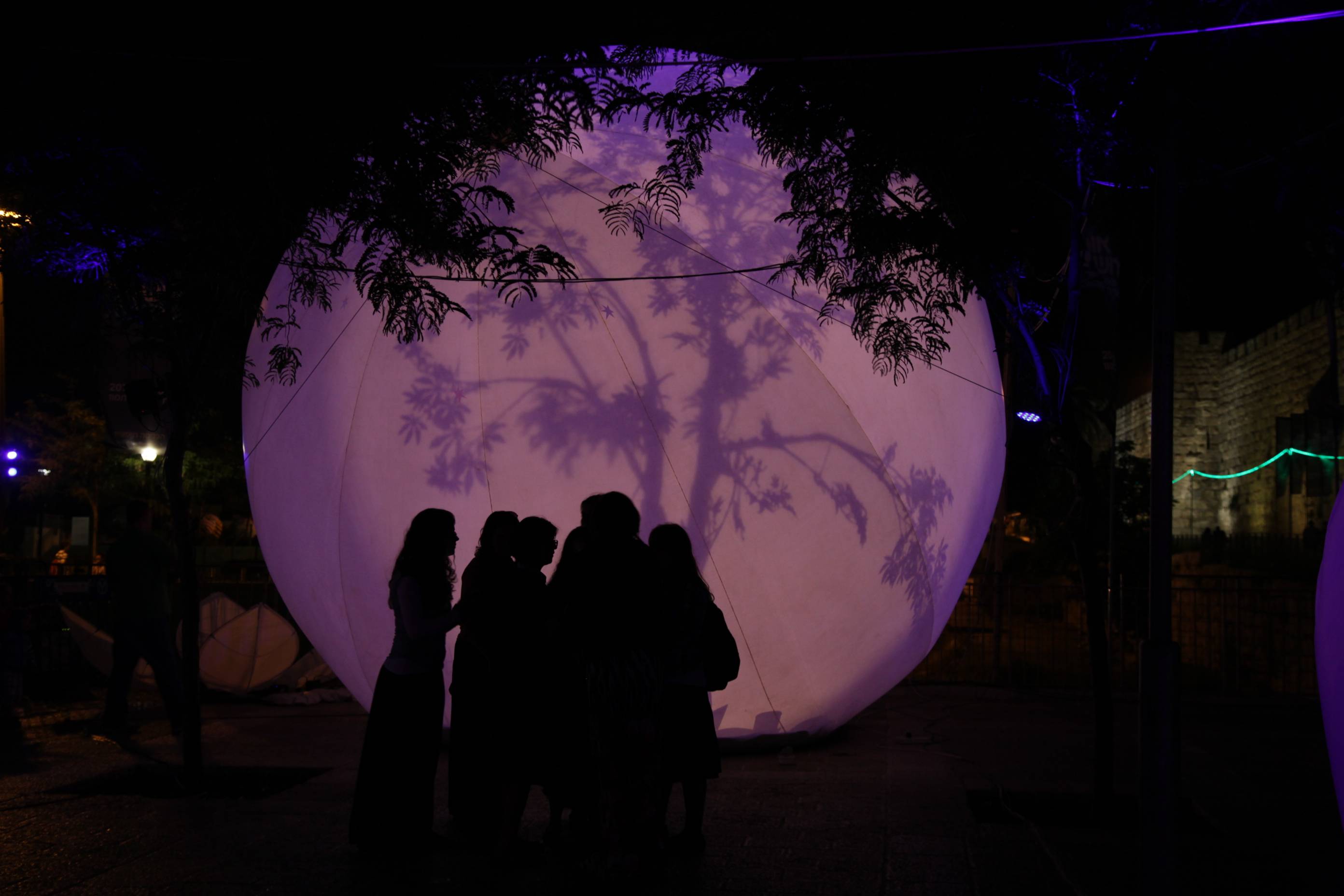 moonGarden