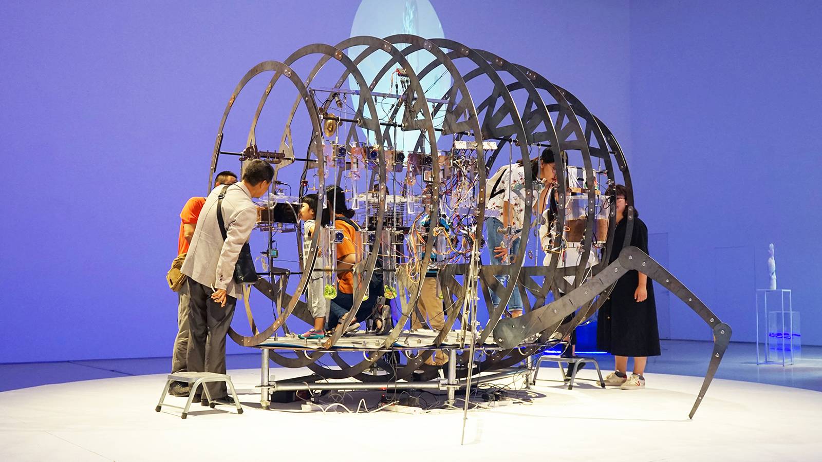 虫舱 Bug Capsule
