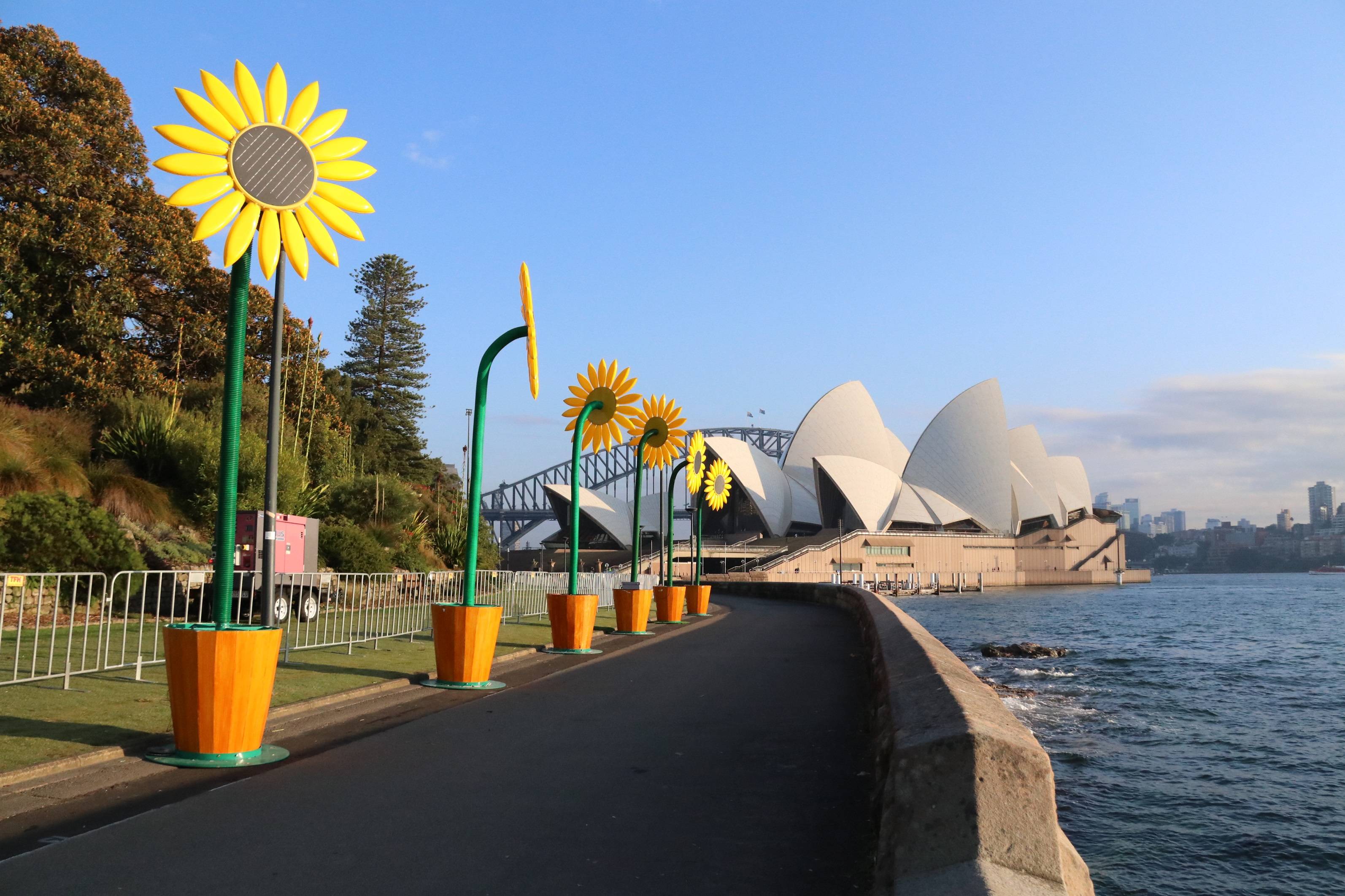 ONGA_TheSunflower_1-1