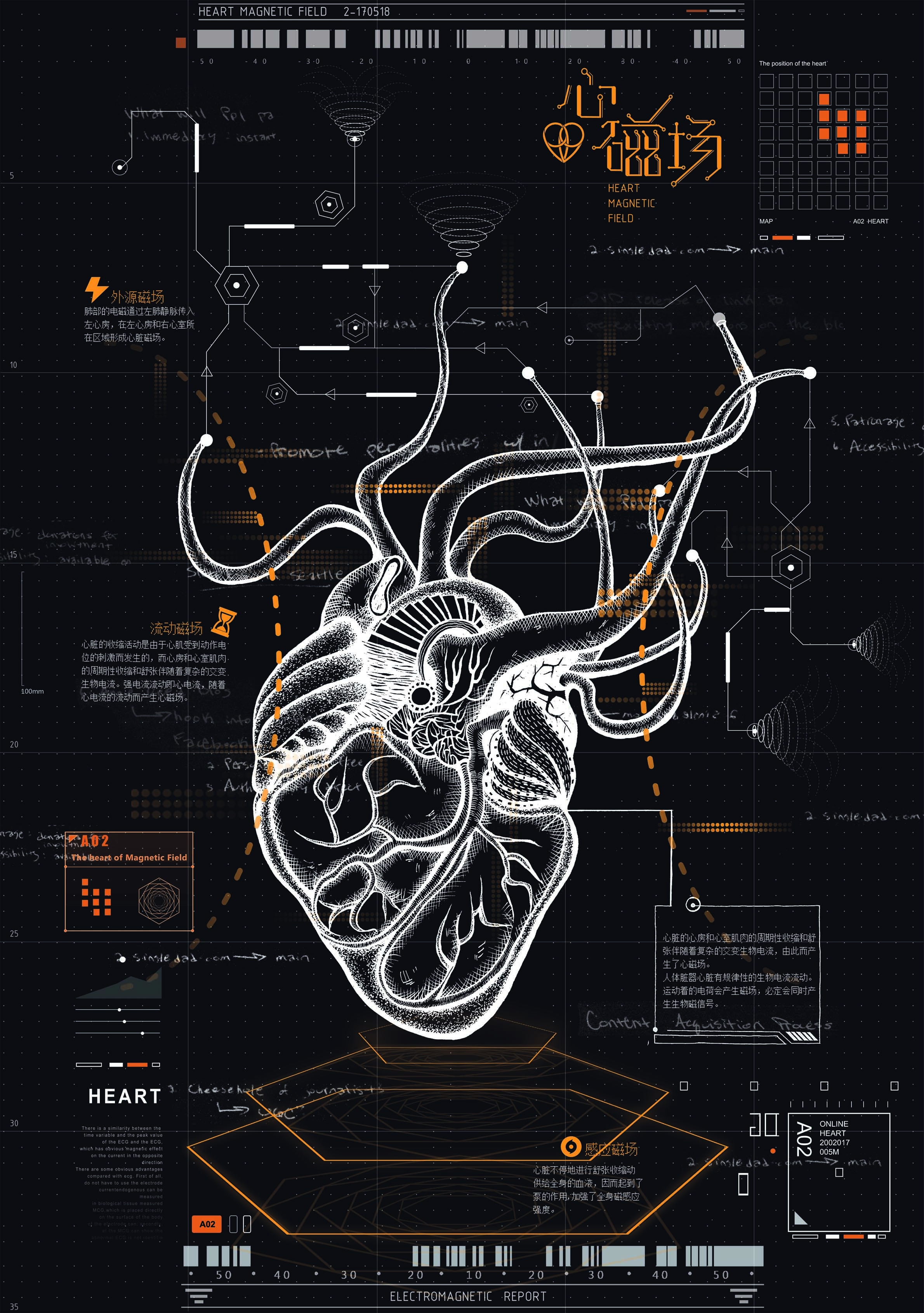 电磁报告之心磁场（HEART MAGNETIC FIELD）