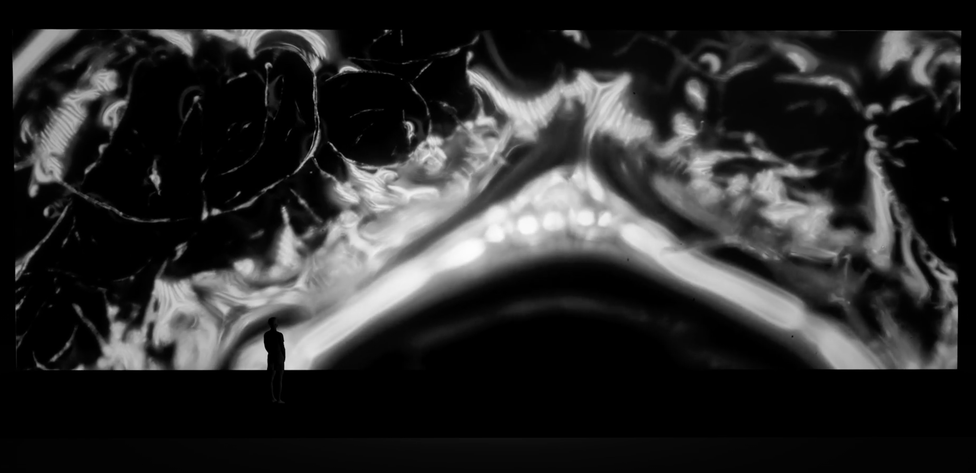 人类身体 | Human Body