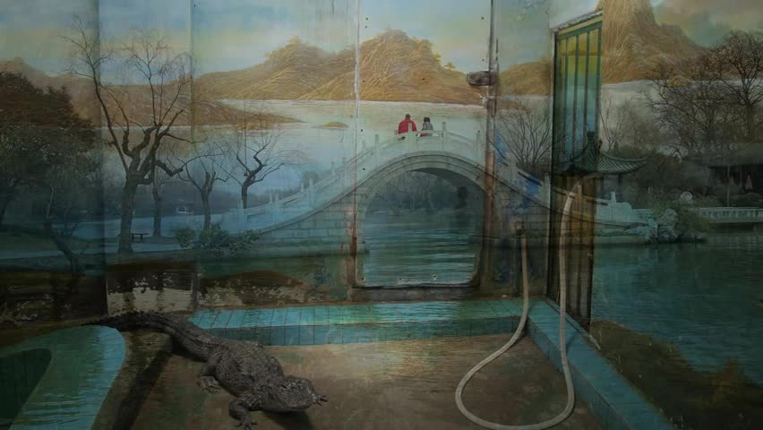 《此时此刻》856x480-MP4 00_09_08-00_09_54
