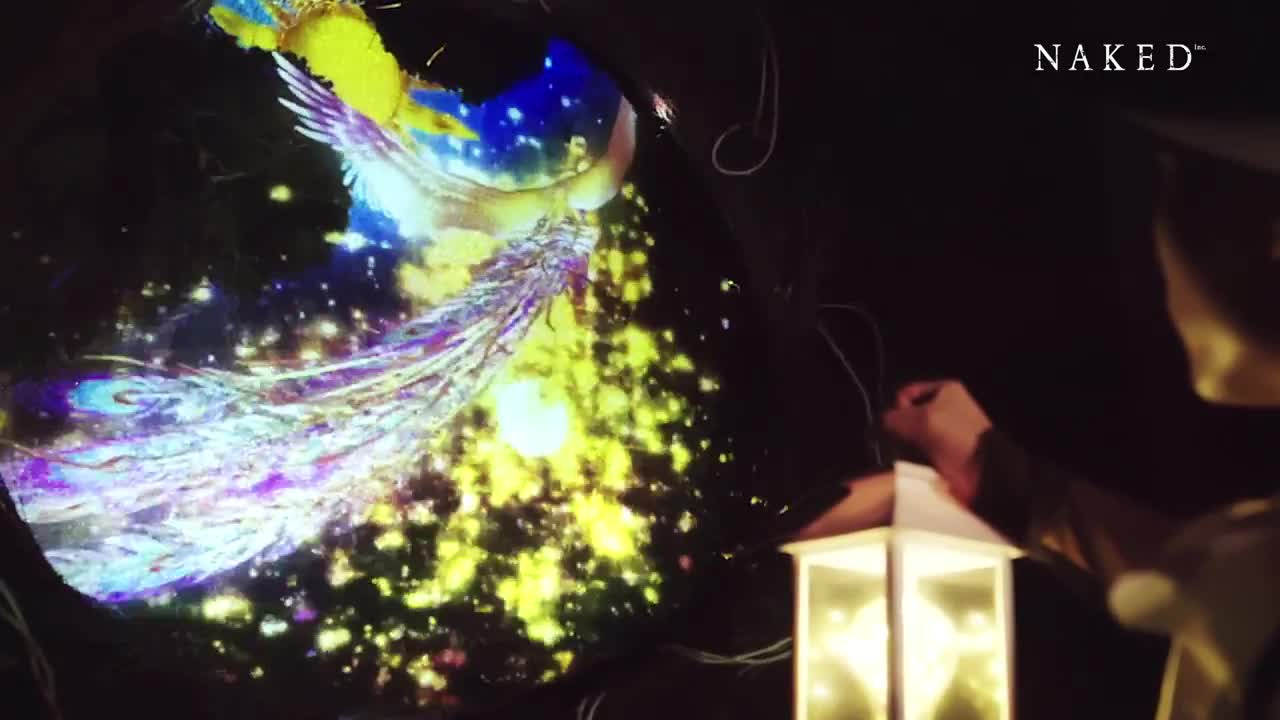 夜游 二次元森林「Night Walk-火之鸟」