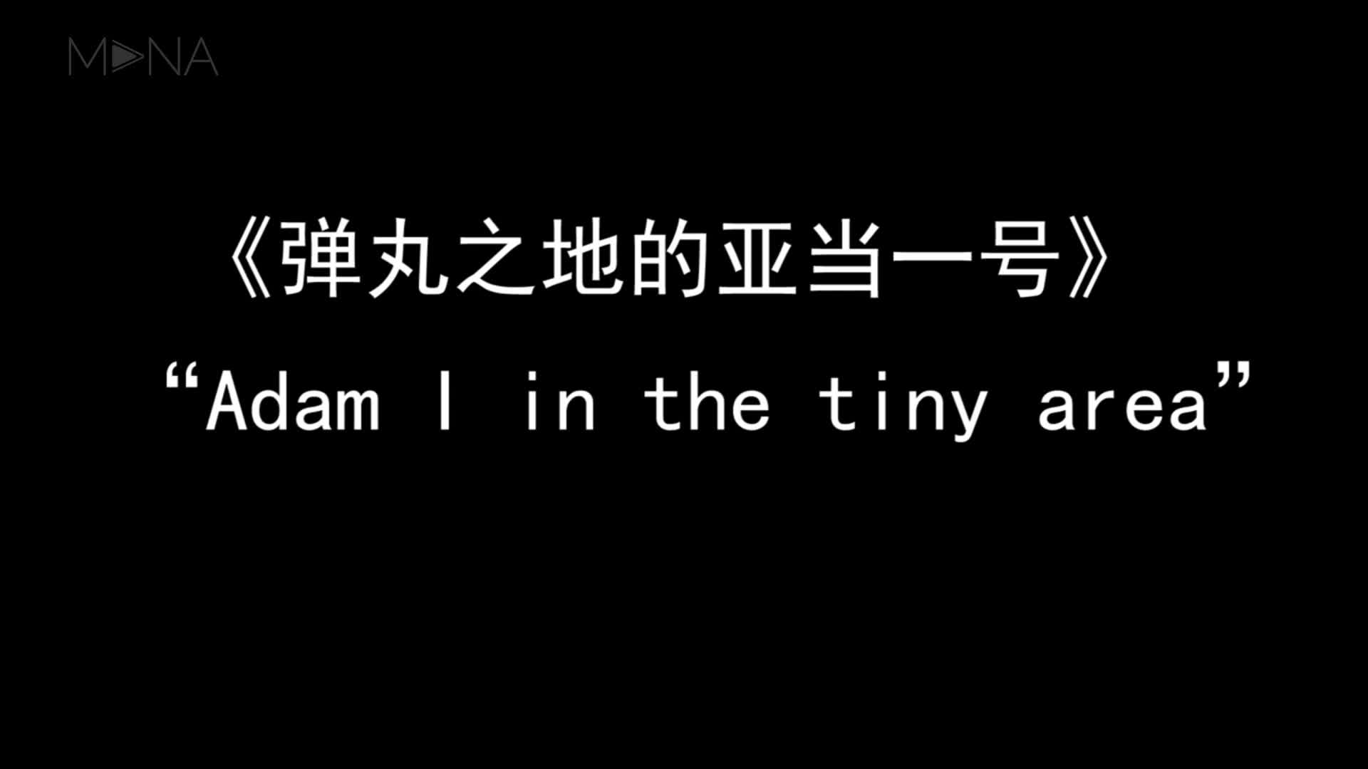 弹丸之地的亚当一号
