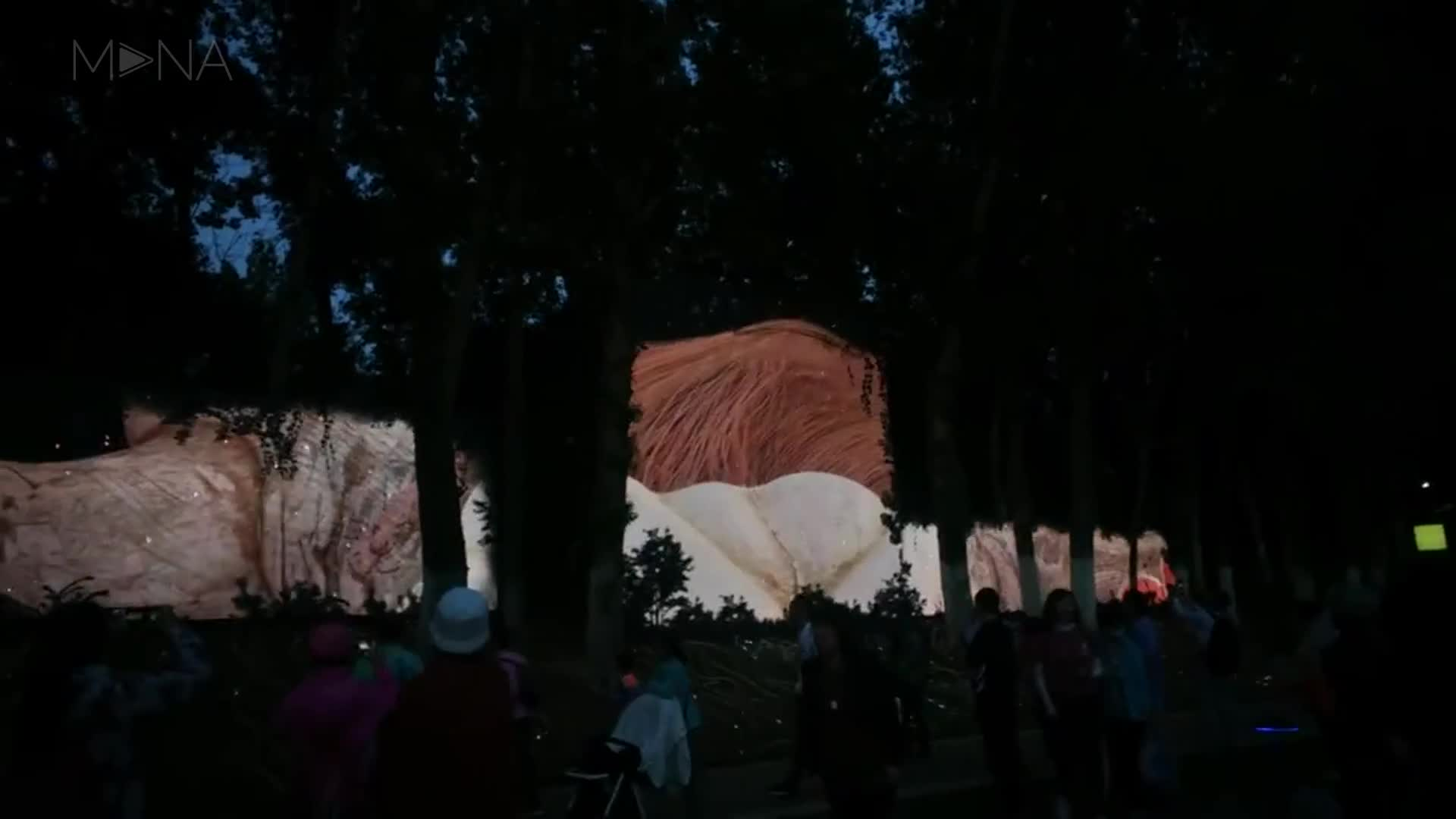 夜游北京世园会探秘奇幻光影森林