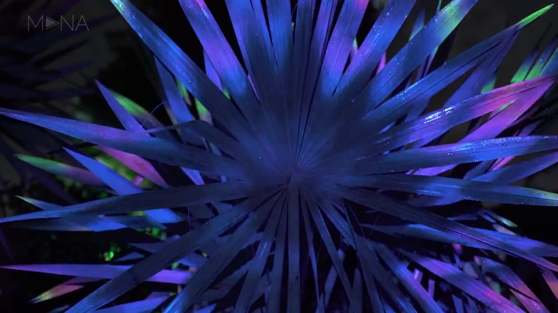 景区夜游会发光的森林