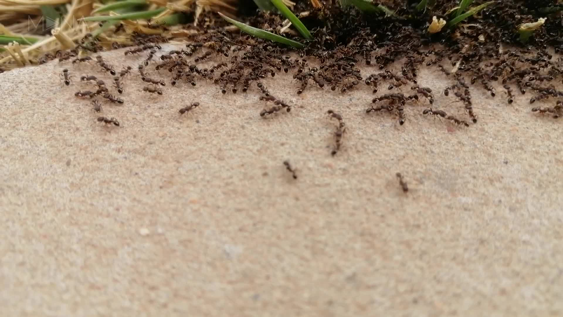 《活着》