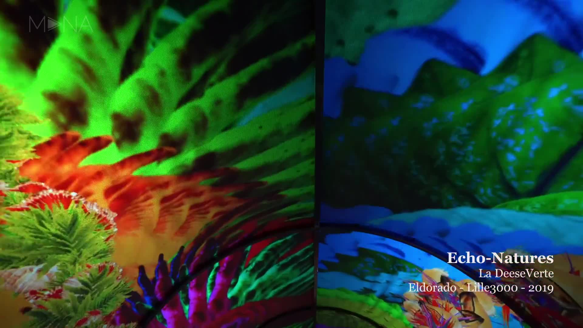 Echo-Natures