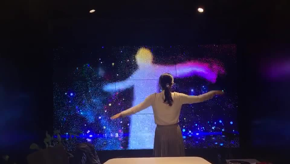 体感粒子