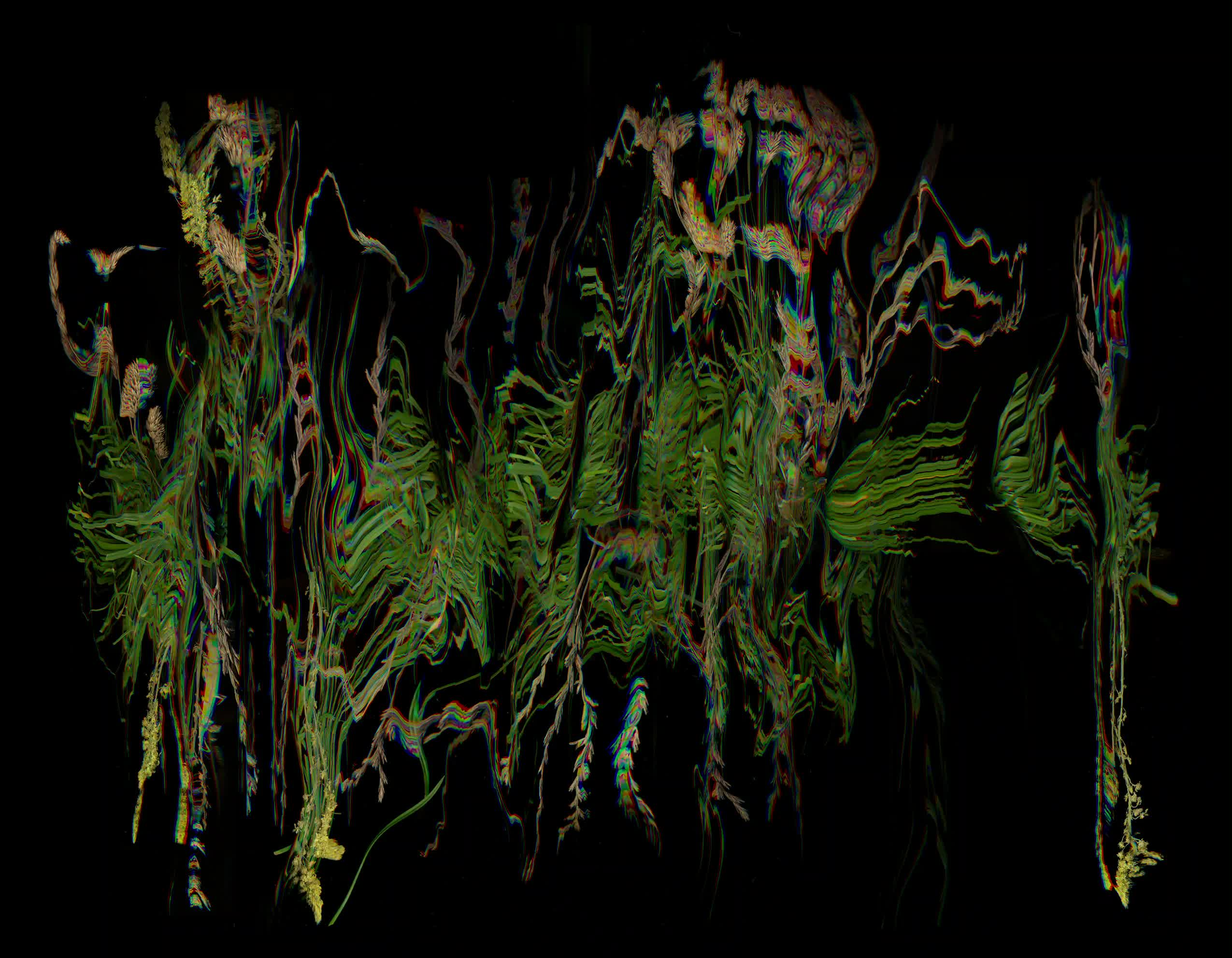 Grass, Scrub, Woodland, 2013 (From Seven Sisters national park series, England)