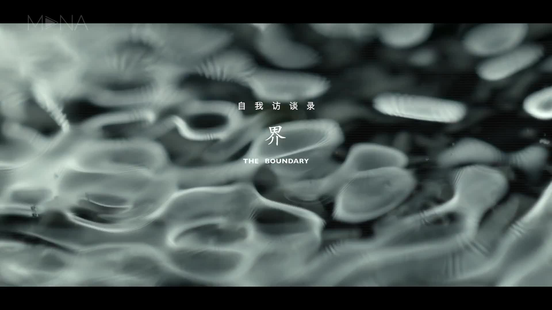 《界》音画交互自我访谈录剪辑版