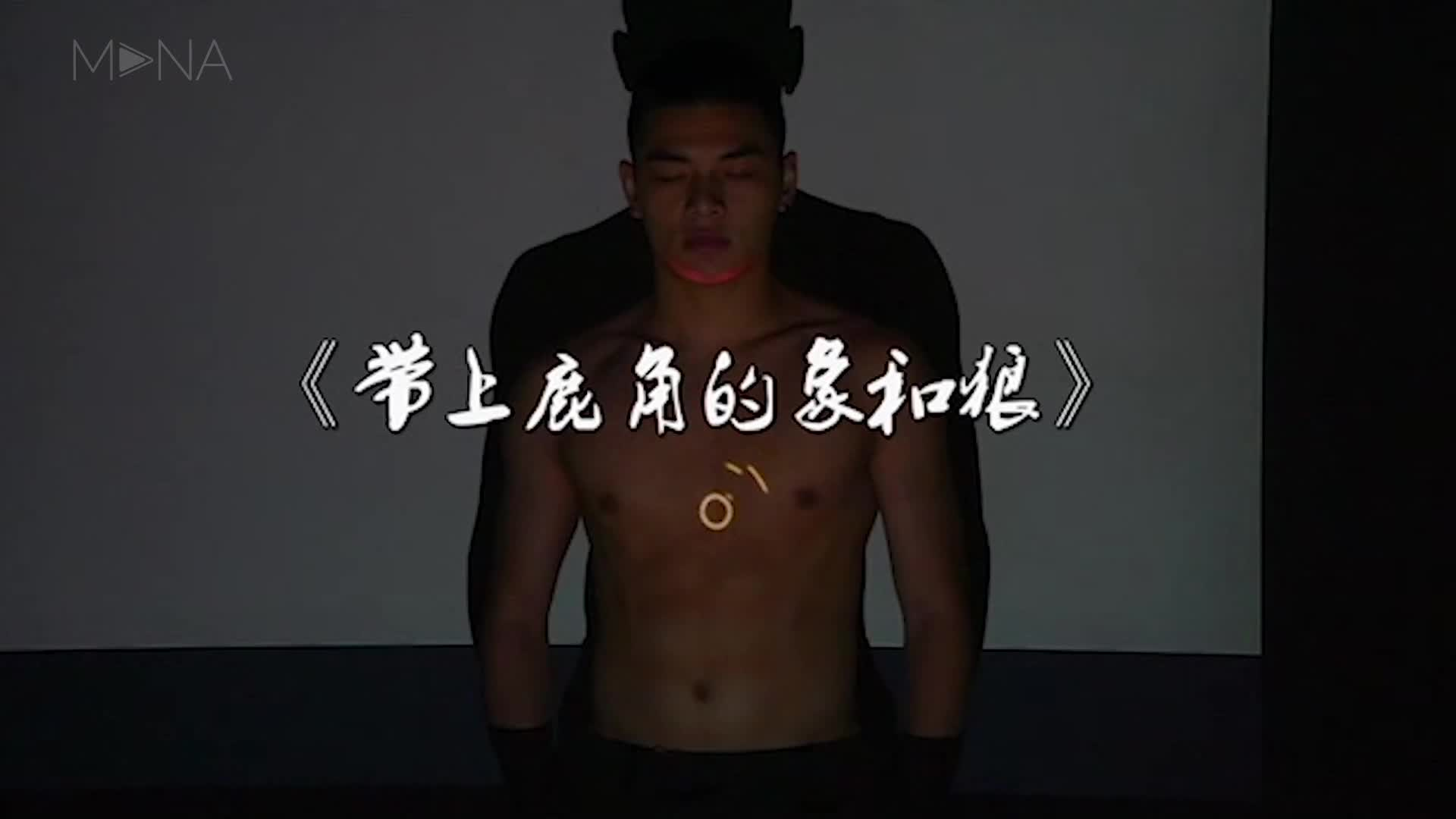 《带上鹿角的象和狼》