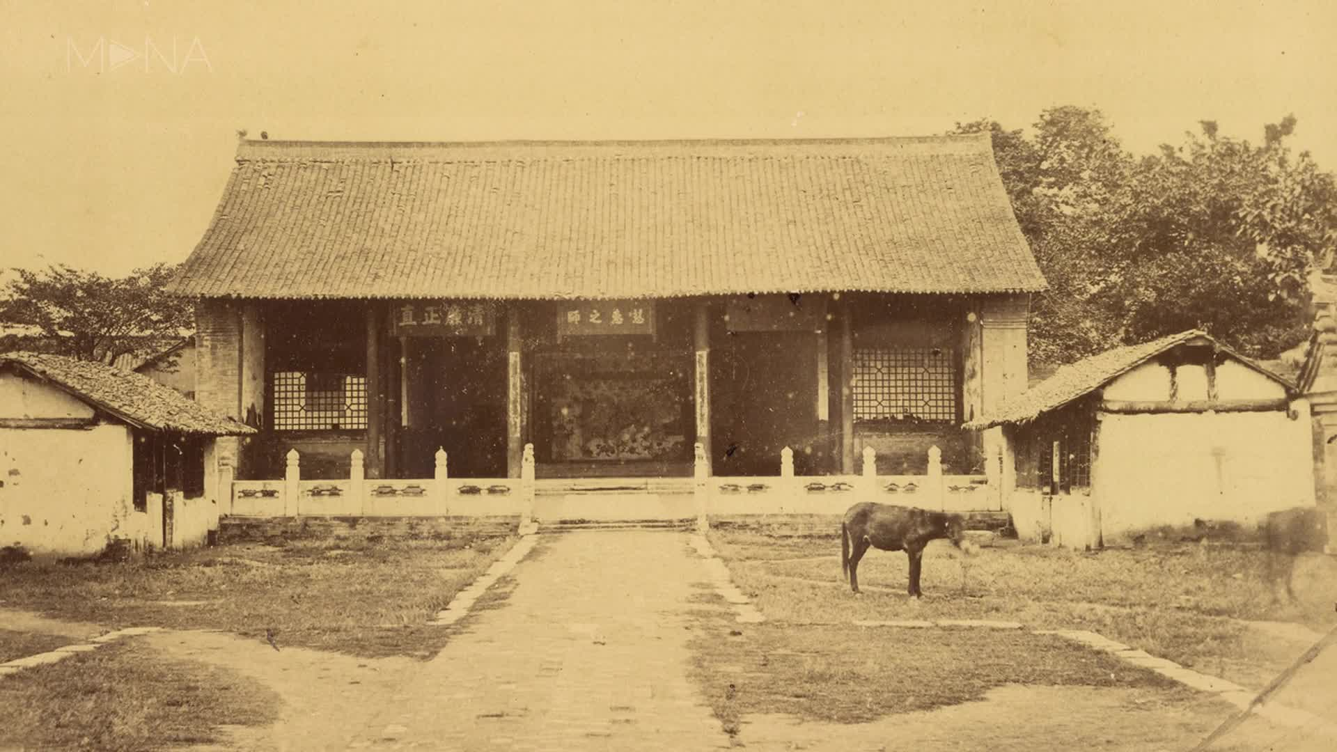 《白日梦Ⅳ》- "Daydream Ⅳ"