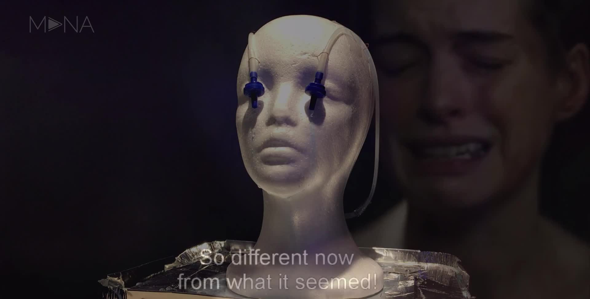眼泪的语言 The Language of Tears