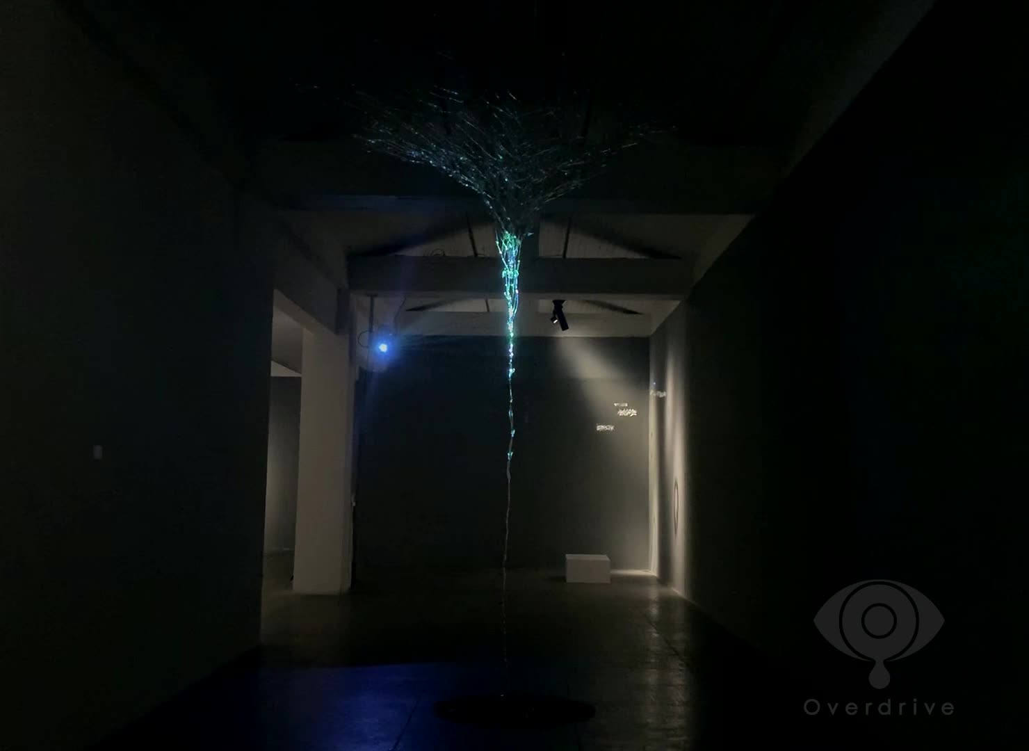 《琉光》