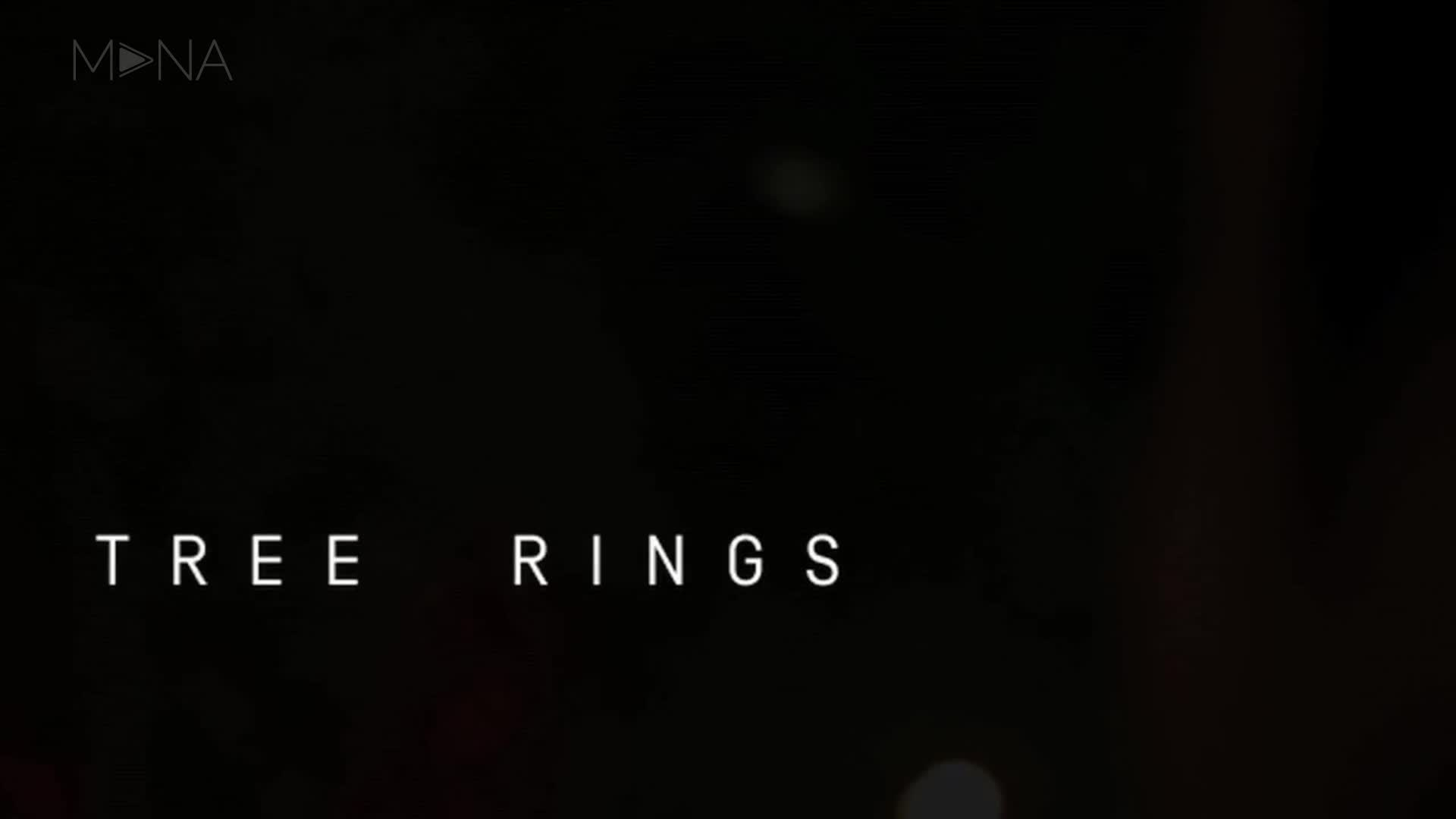 Tree Rings 