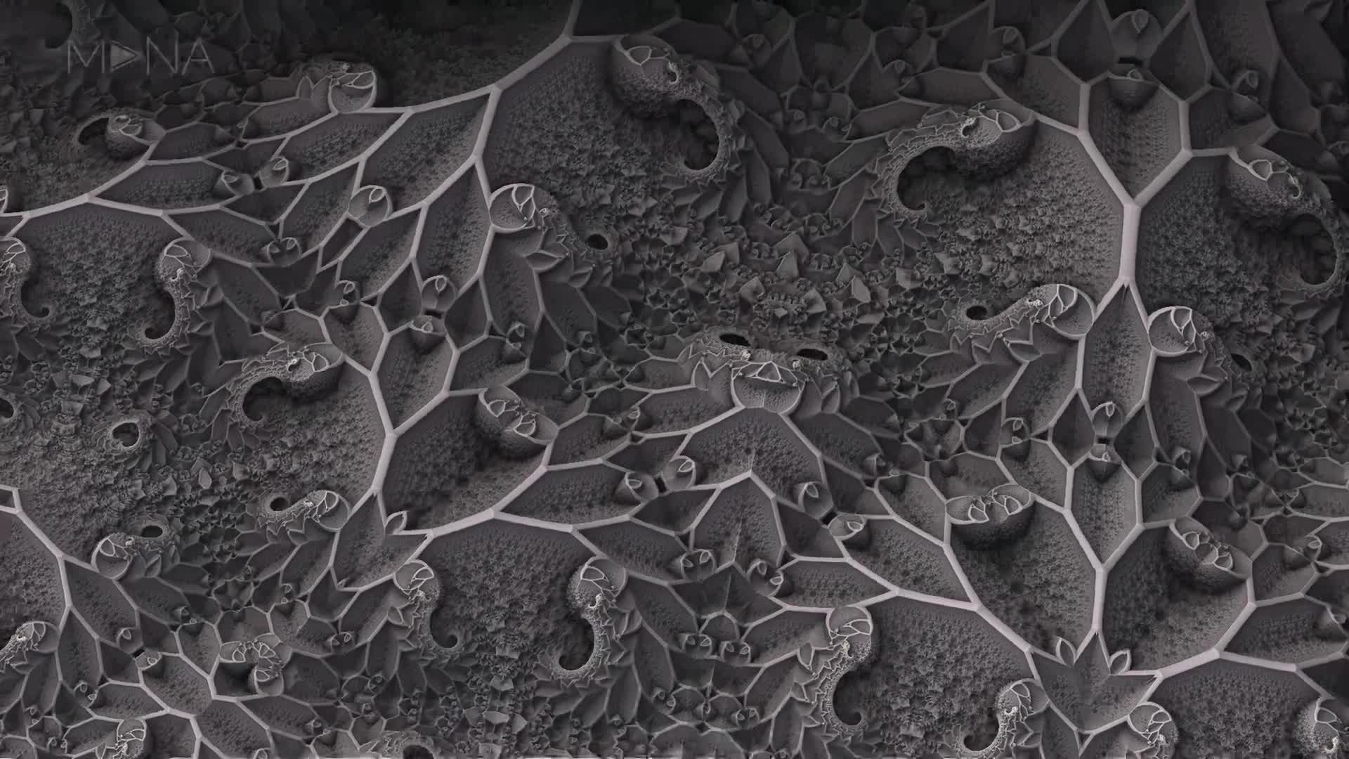 Tree Of Life