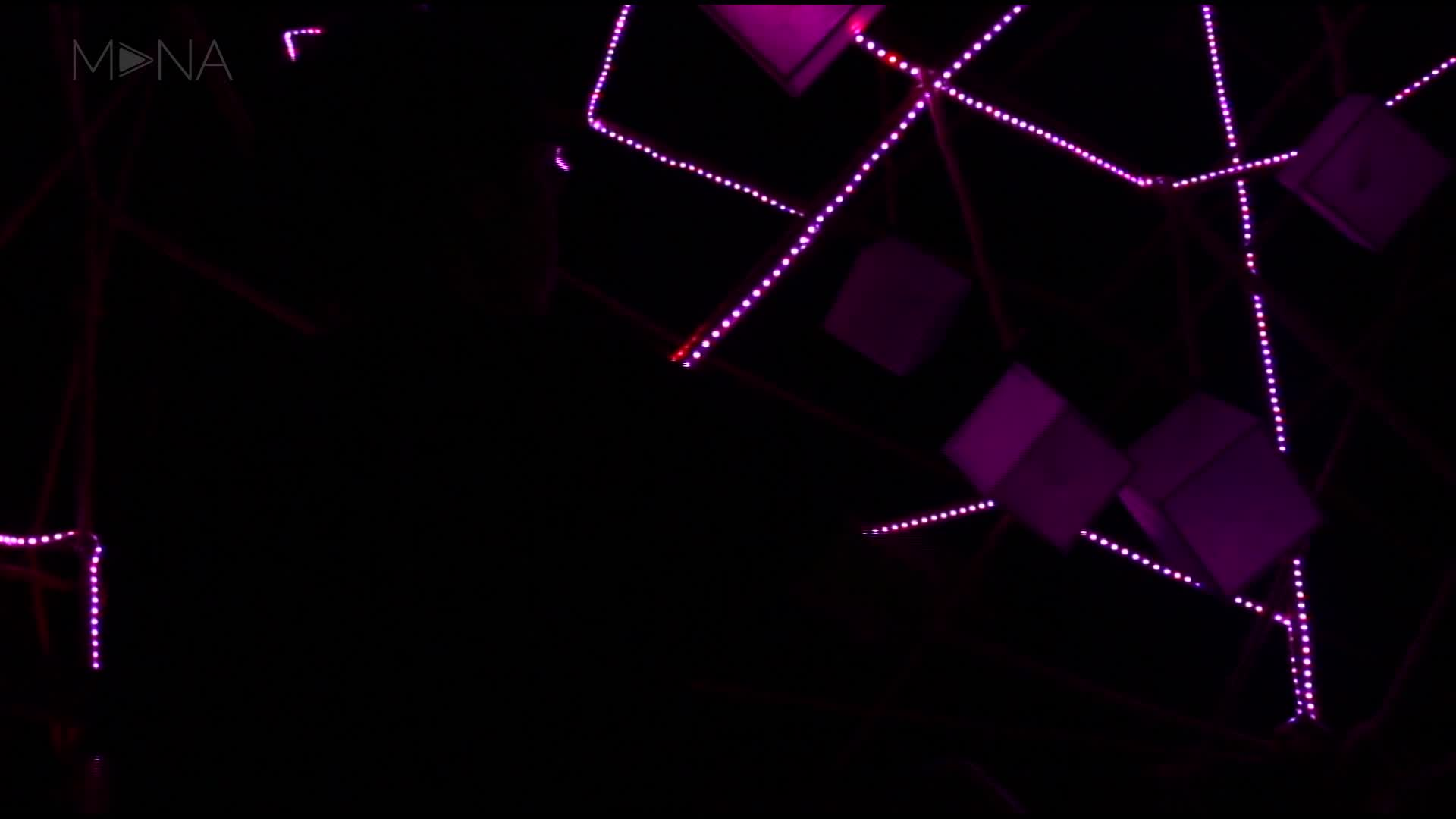 《神经网》