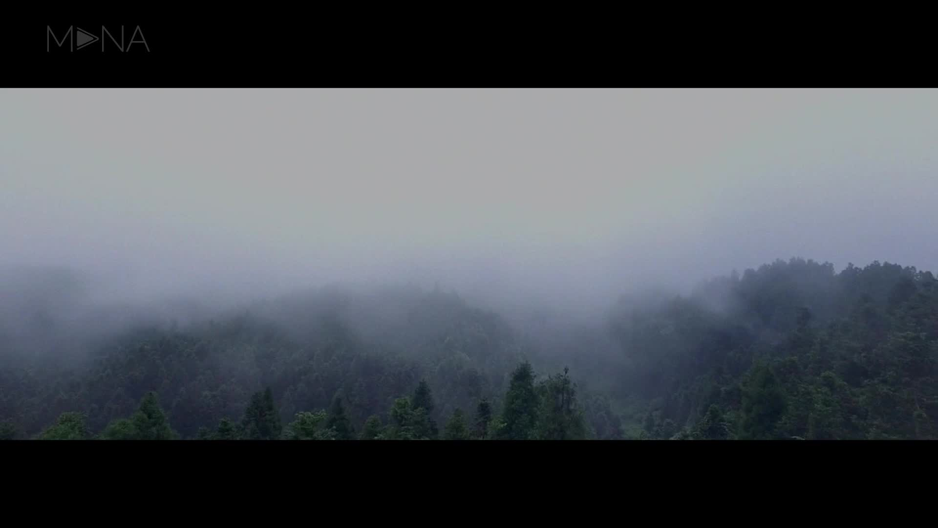 仙女山电子音乐节现场