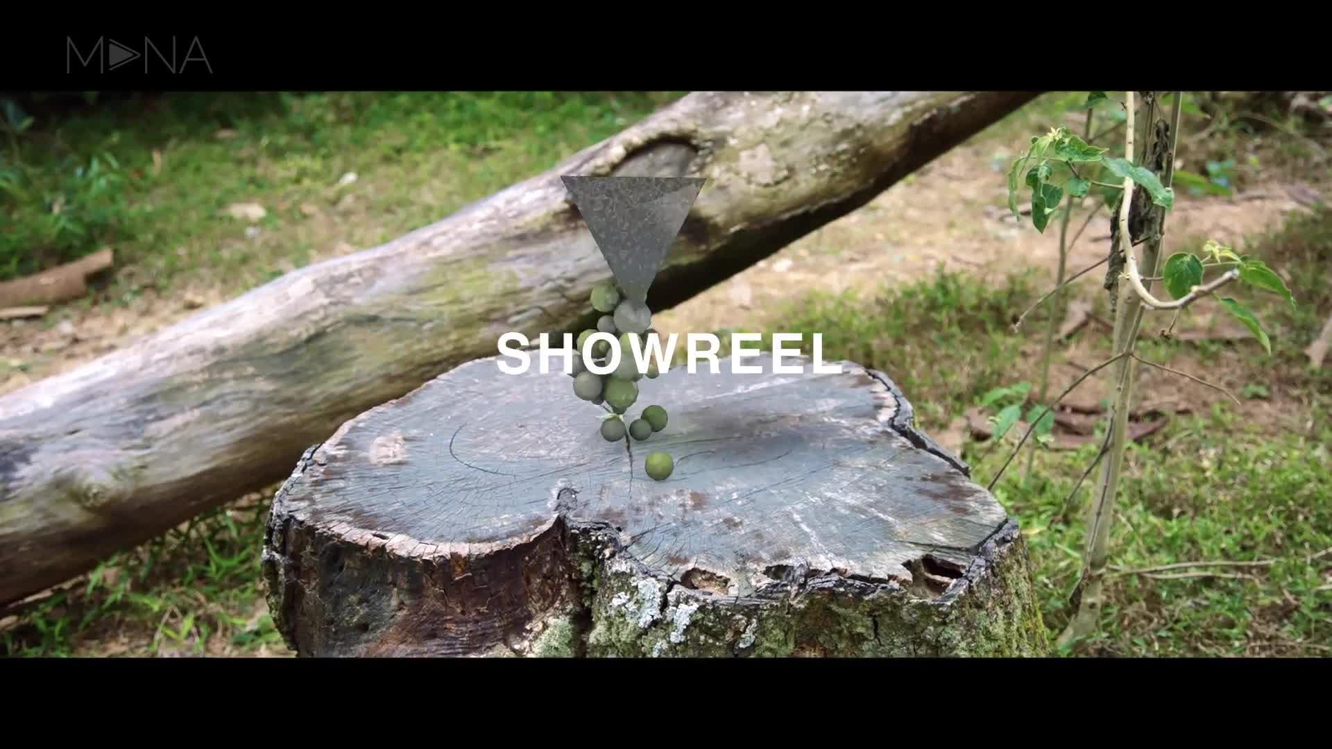 Showreel_Liuxinrui_2015
