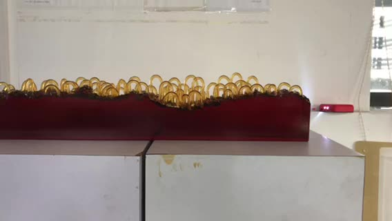 蜃景系列之消失的罗布泊2