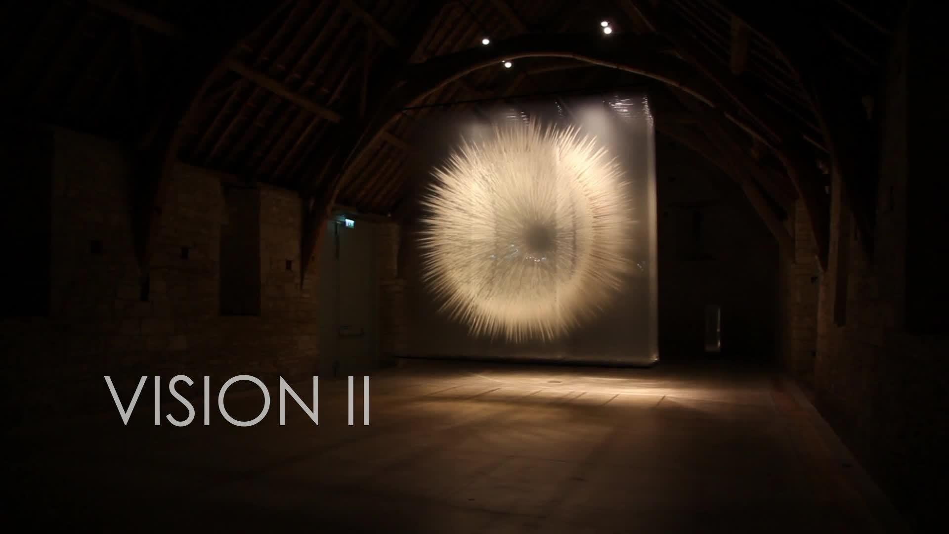 Vision II