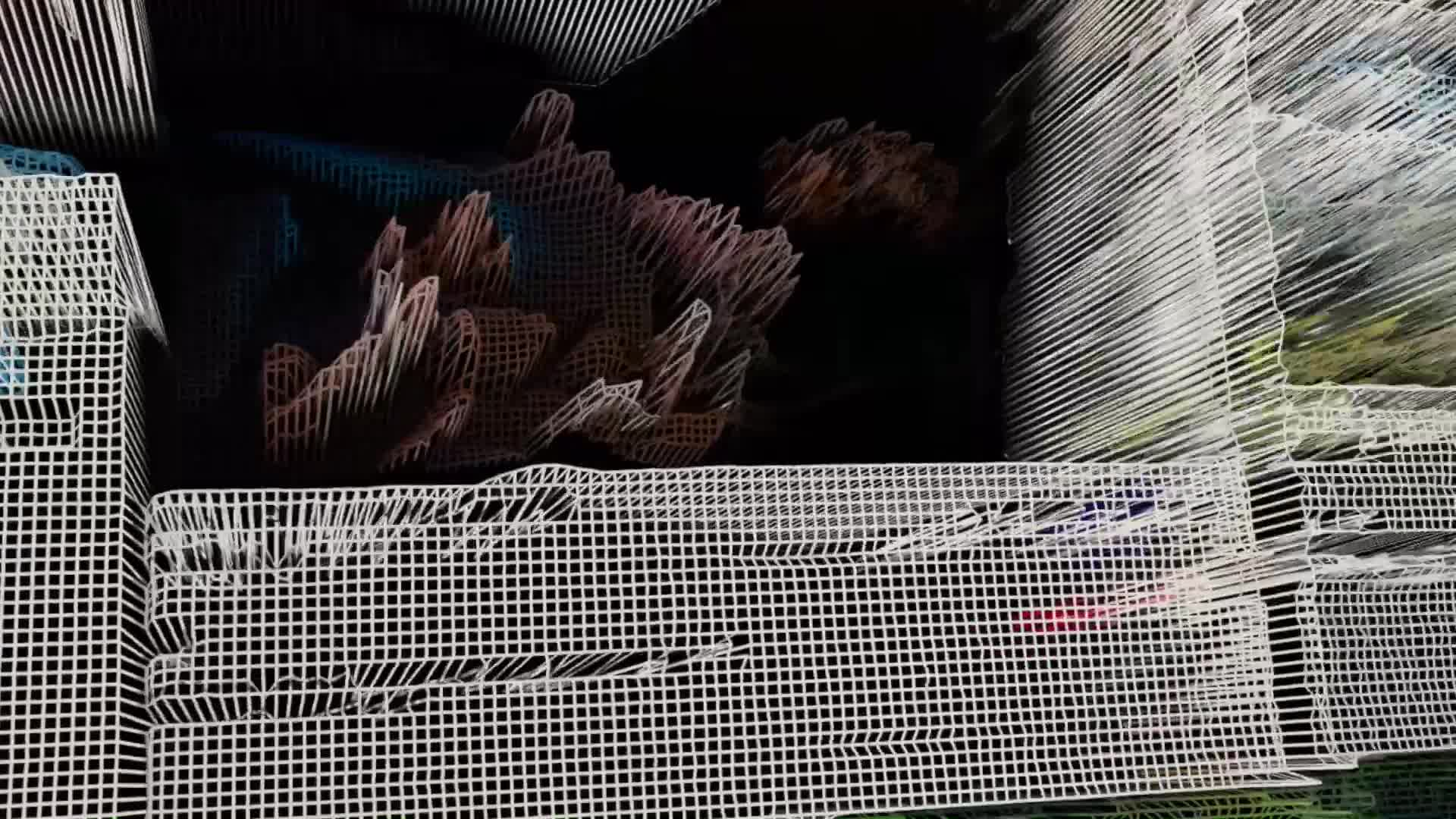 数据网络