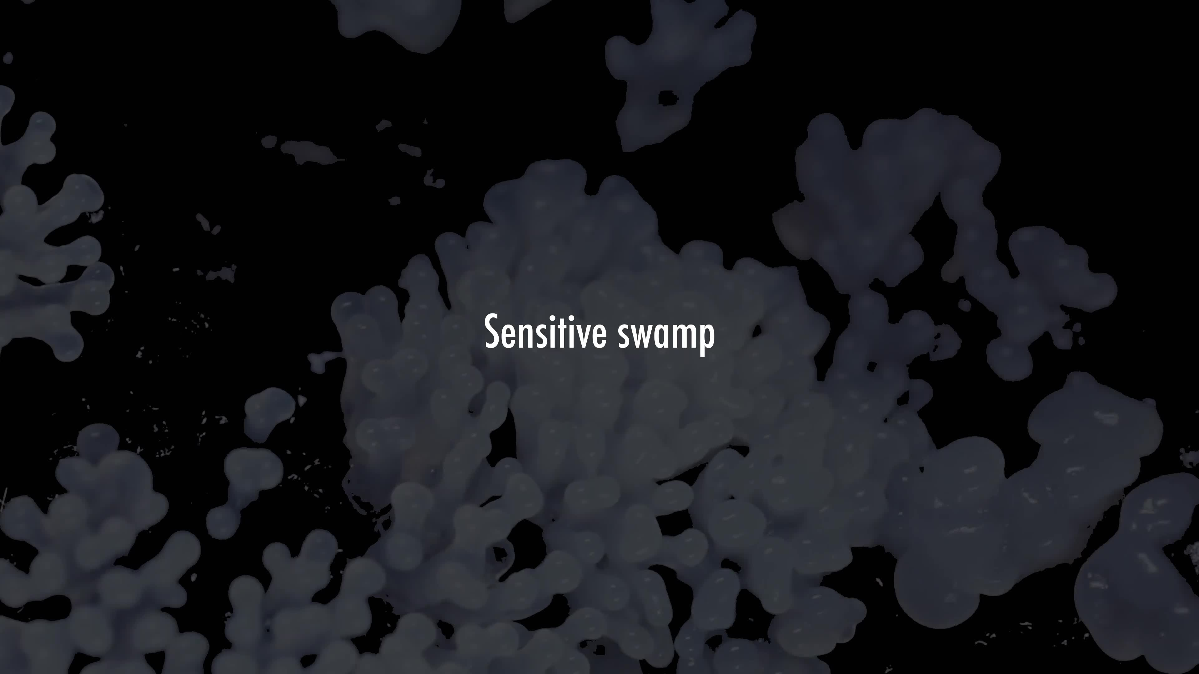 Sensitive swamp