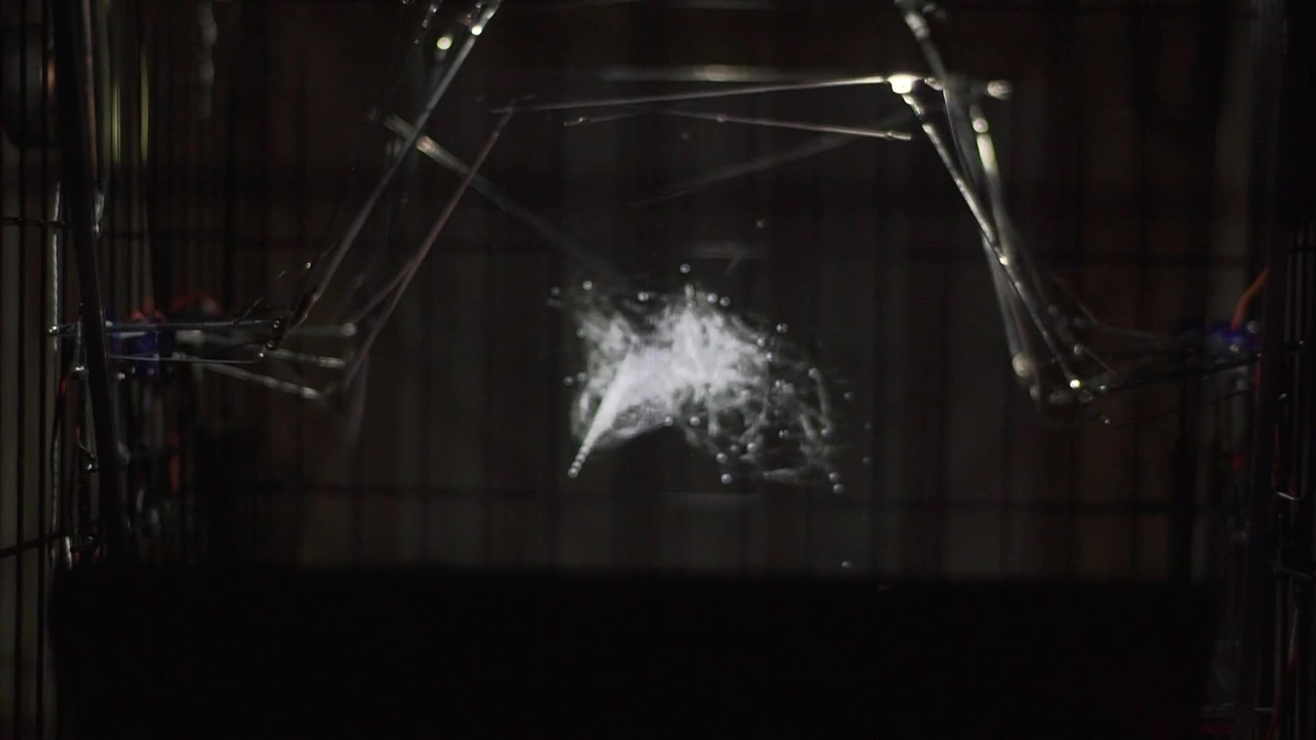 The Trained Particles Circus