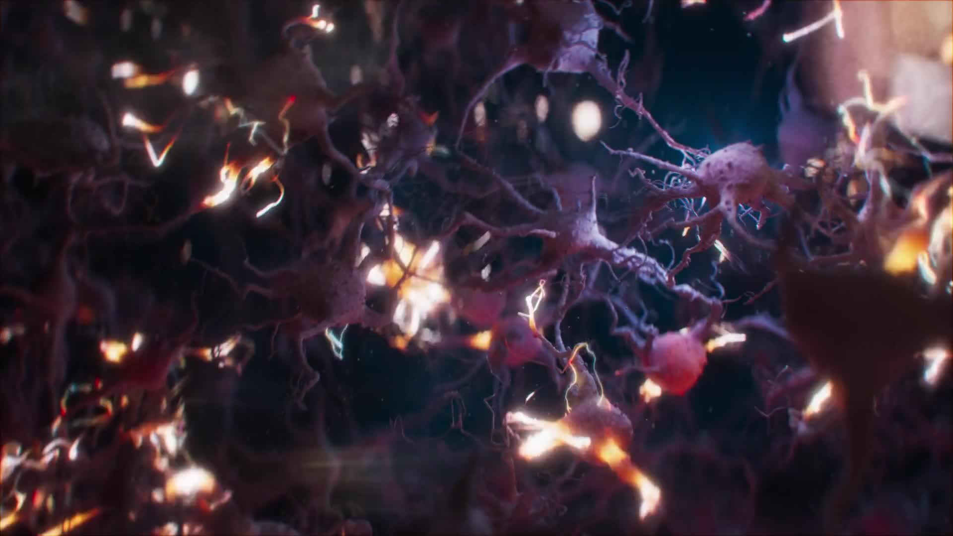 👀NOXX VISION 丨 MayoClinic - The Power of Answers，2020