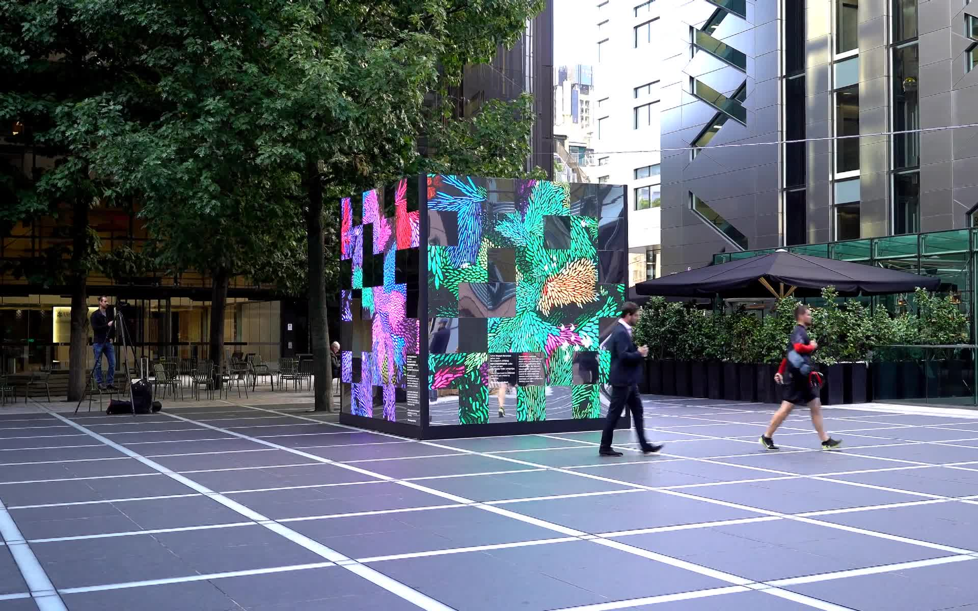 The Cube