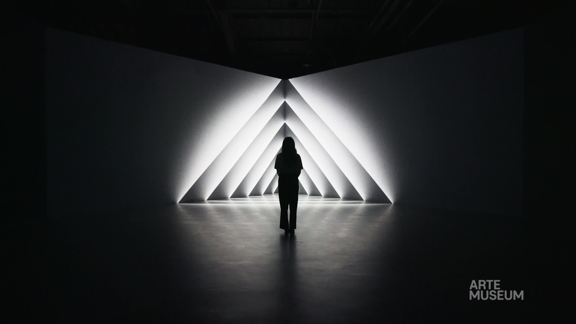ARTE MUSEUM WORMHOLE