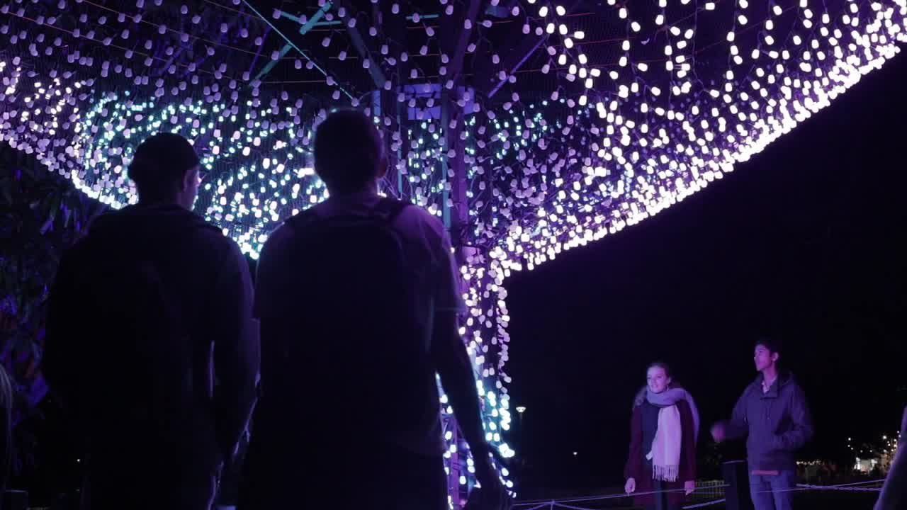 HARMONY - Vivid Sydney