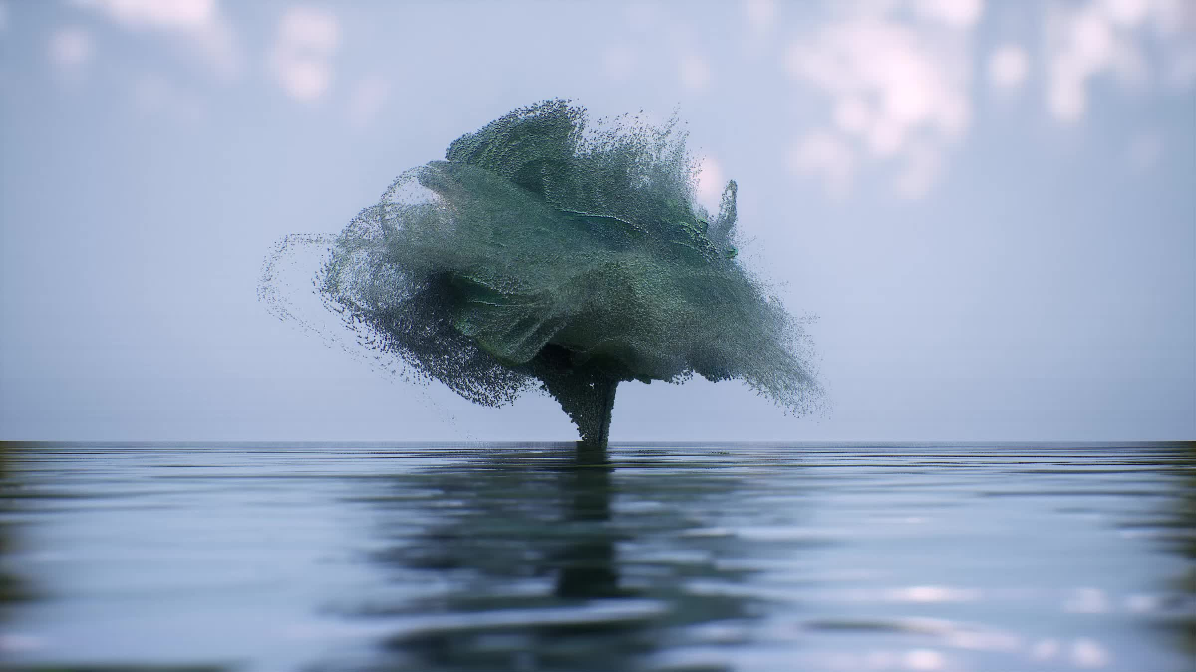 Tree/Waves