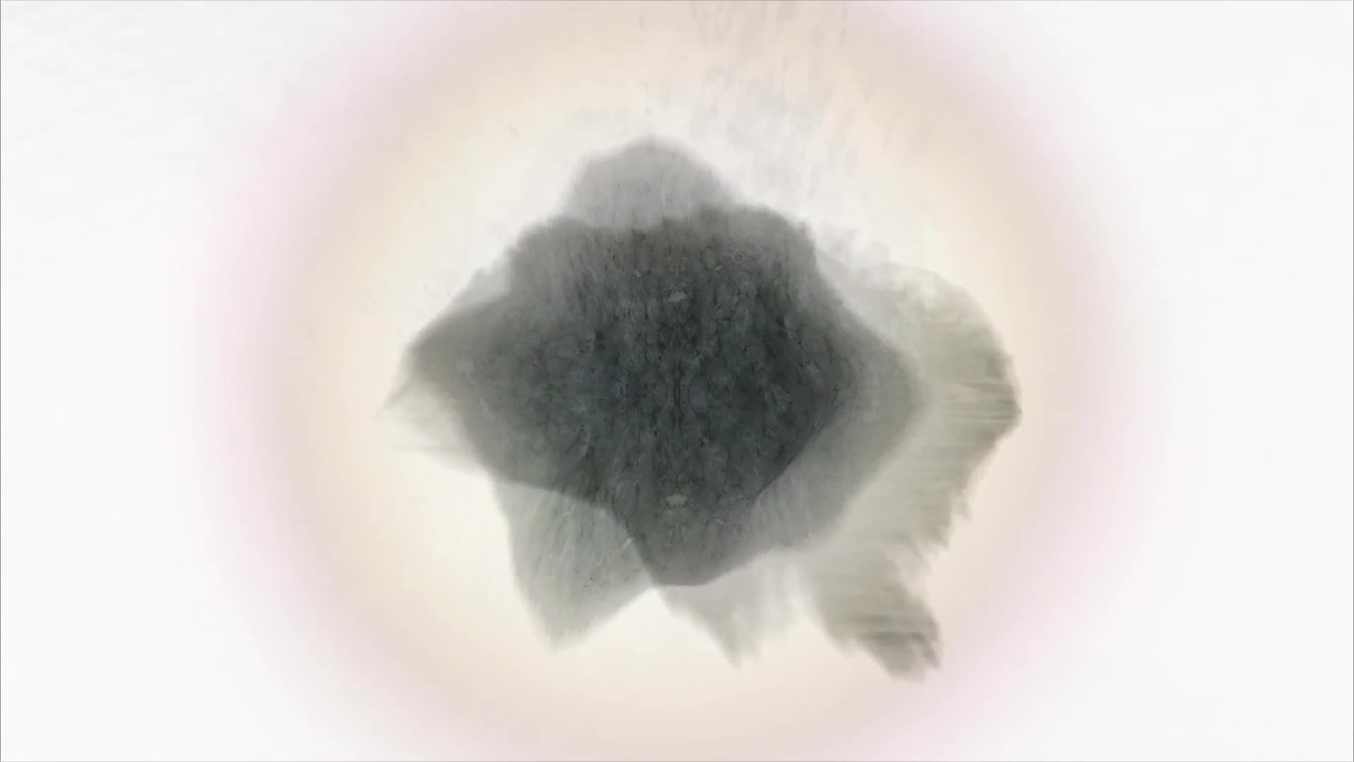 ＳＩＬＨＯＵΞＴＴΞ ｜｜ ＨÌＮＨ ＢÓＮＧ