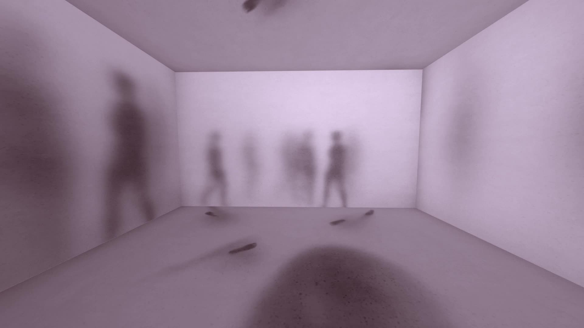 PERCEPTION: A Private Experience   |  Immersive Experience 