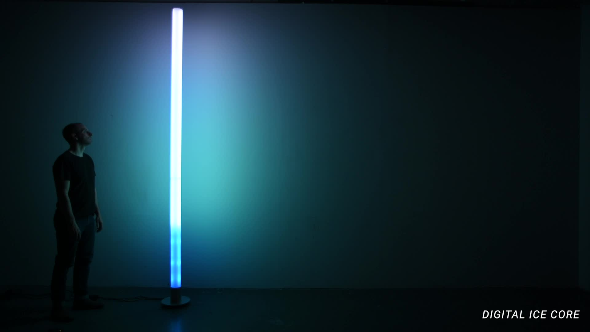 Digital Ice Core