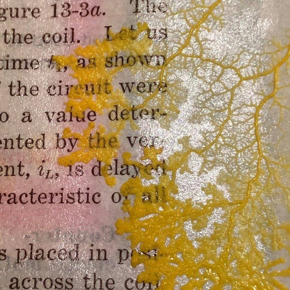 [第七届流明奖项作品] 《Degenerative Cultures》by Cesar & Lois