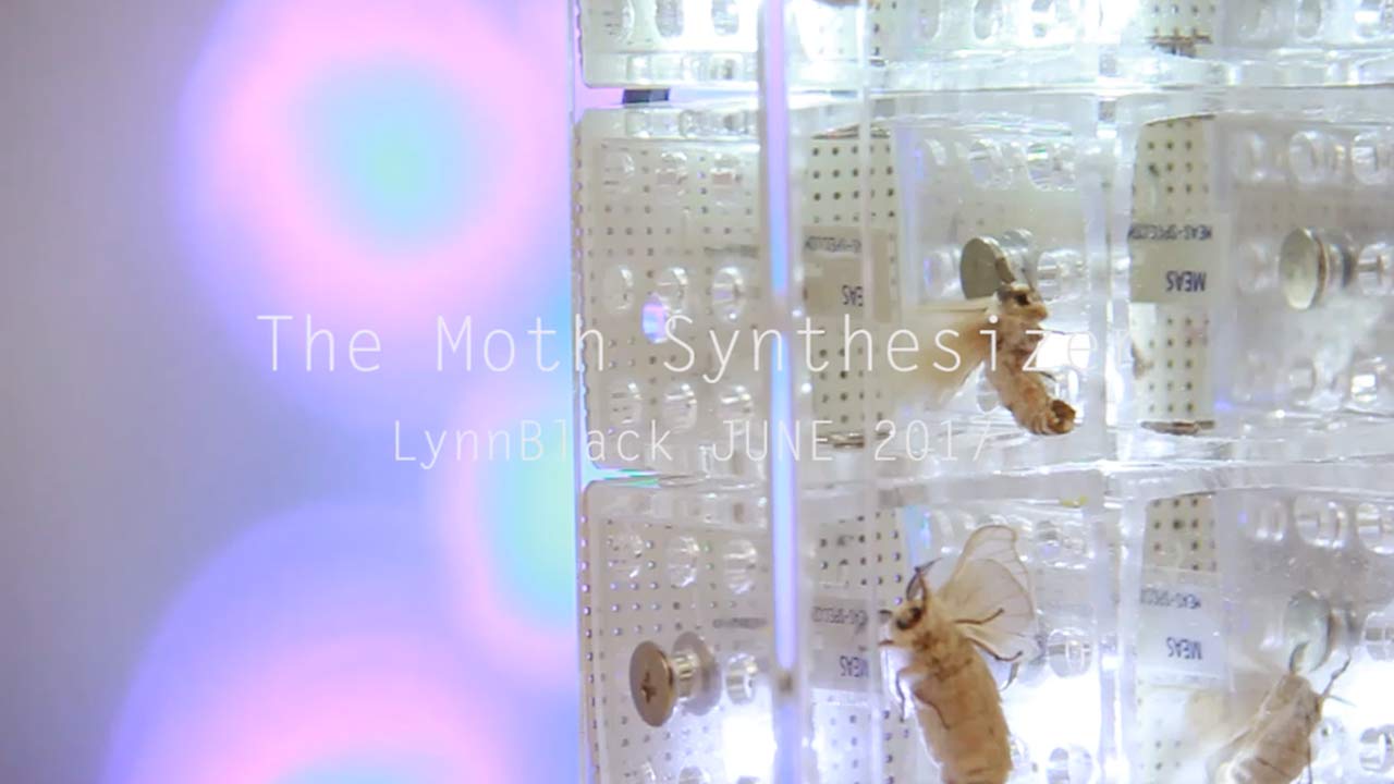 The_Moth_Sythesizer