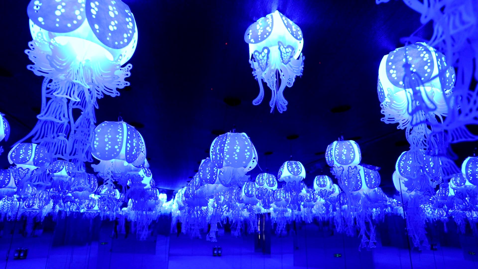 海洋沉浸式体验互动展《国家地理·深蓝》