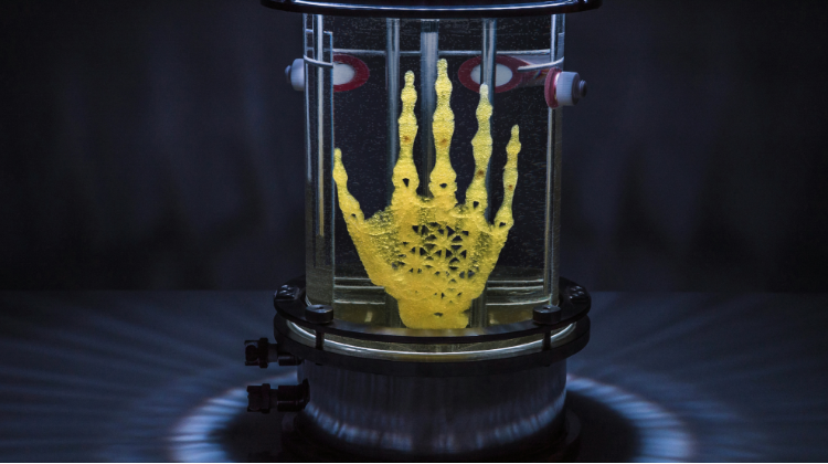 Regenerative Reliquary by Amy Karle