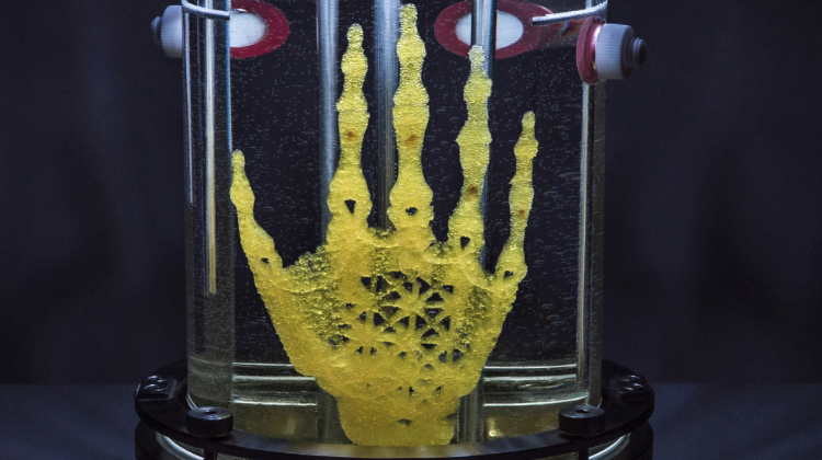 Amy Karle: Bringing Bones to Life