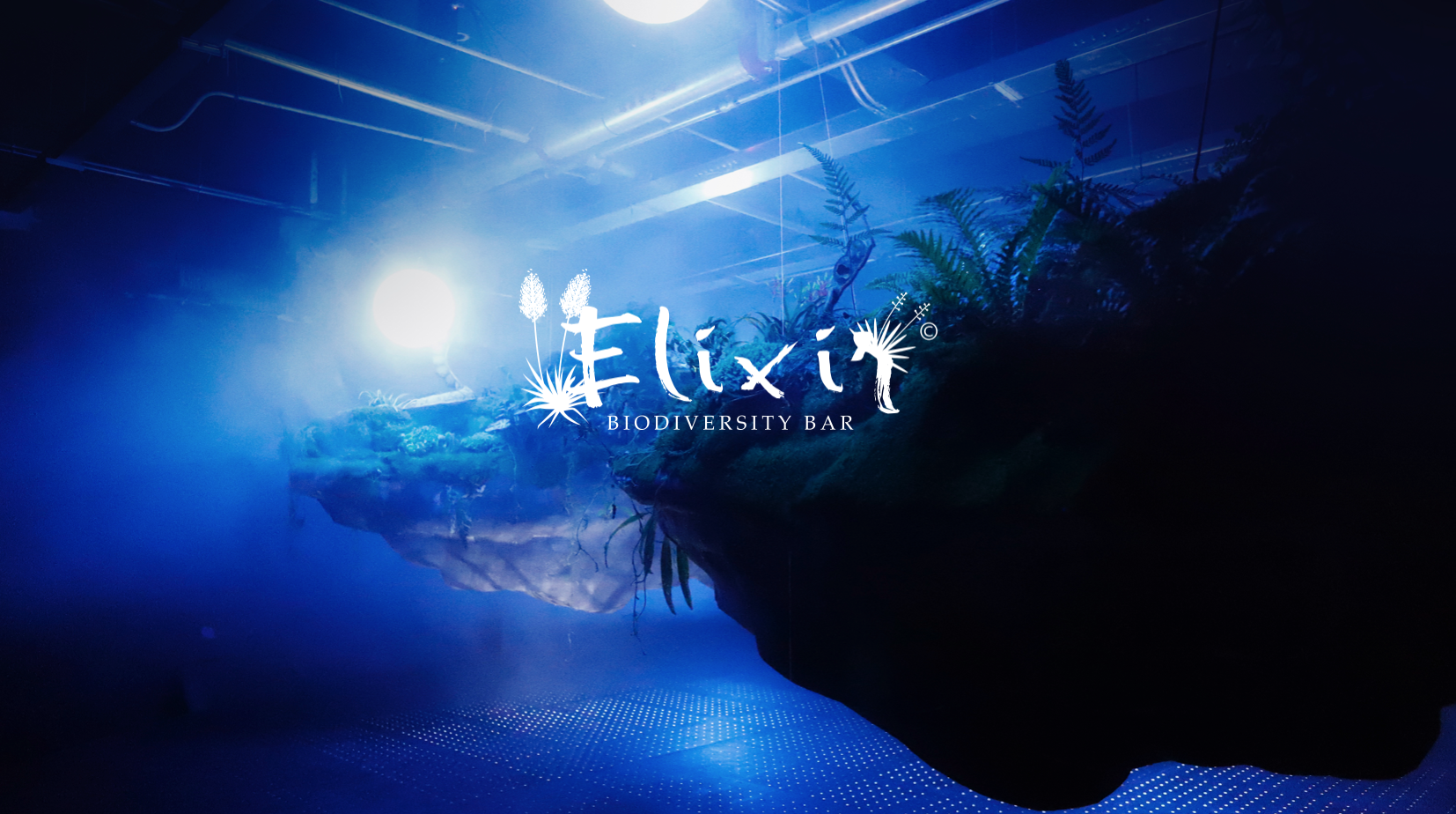 Elixir - 灵丹妙吧 