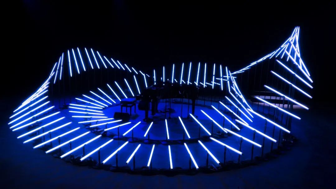 ammonite | 互动音乐艺术体验装置